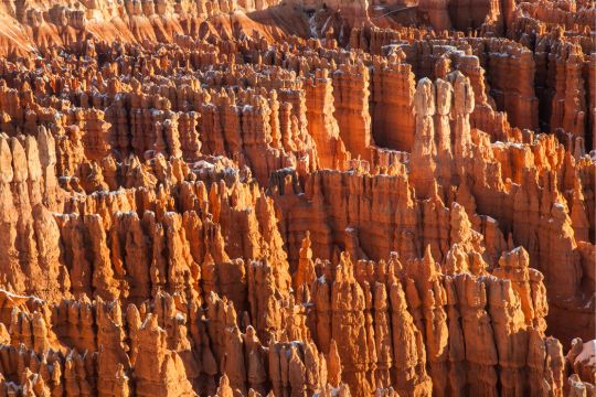 Hoodoos in Bryce Canyon