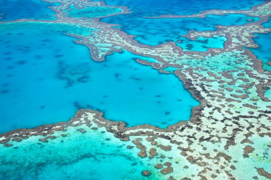 Colorful coral reef with tropical fish