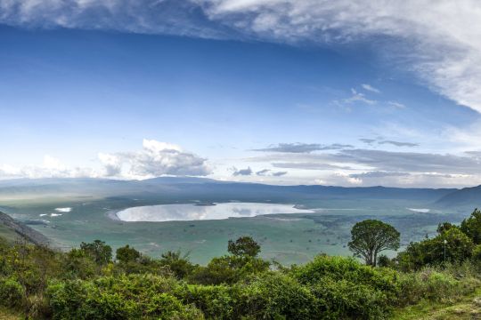 Wildlife inside Ngorongoro Crater