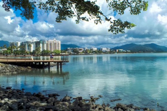 Palm trees along the Cairns Esplanade