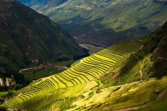 Terraces of the Sacred Valley