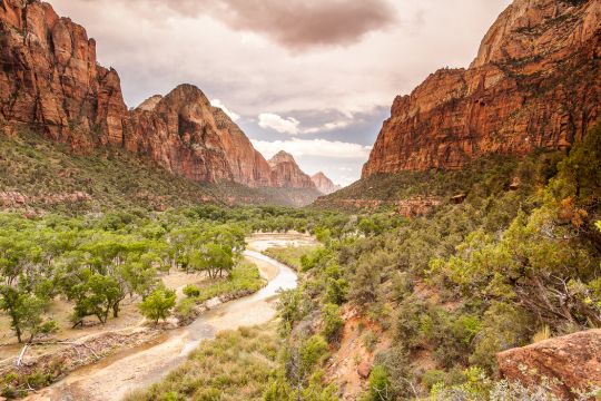 Cliffs of Zion National Park