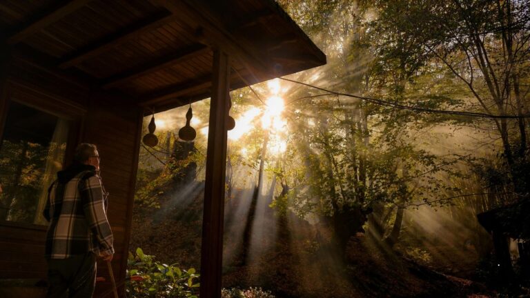 Silent Meditation Retreats